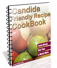 candida recipes